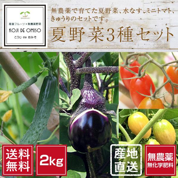 無農薬 和歌山産 朝採り夏野菜（水茄子・ミニトマト・きゅうり）3種 約 