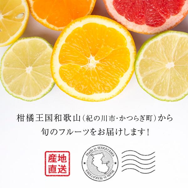 産地直送！ 和歌山産 すもも 500g □期日指定不可・発送翌日受取限定