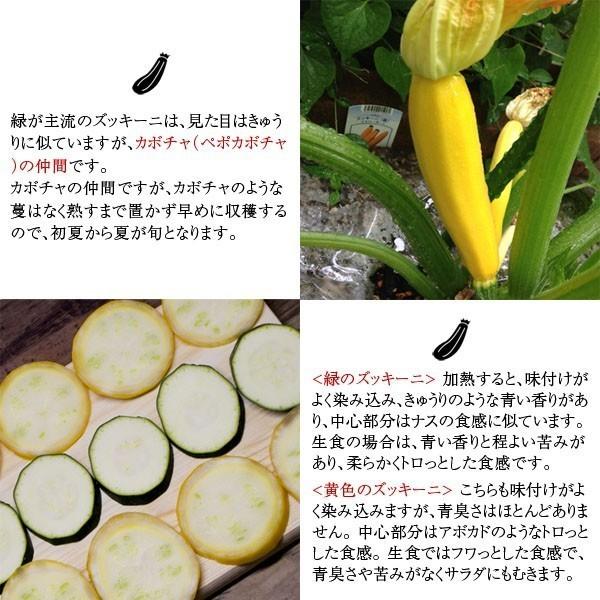 格安人気 和歌山産 無農薬 朝採り 丸ズッキーニ 約1 5kg 期日指定不可 発送翌日受取限定 時間指定にご注意ください Whitesforracialequity Org