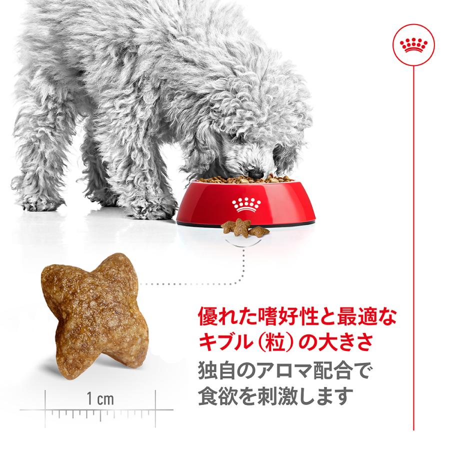 ロイヤルカナン 犬 ドッグフード ミニ アダルト 2kg×6個 小型犬専用フード 成犬用