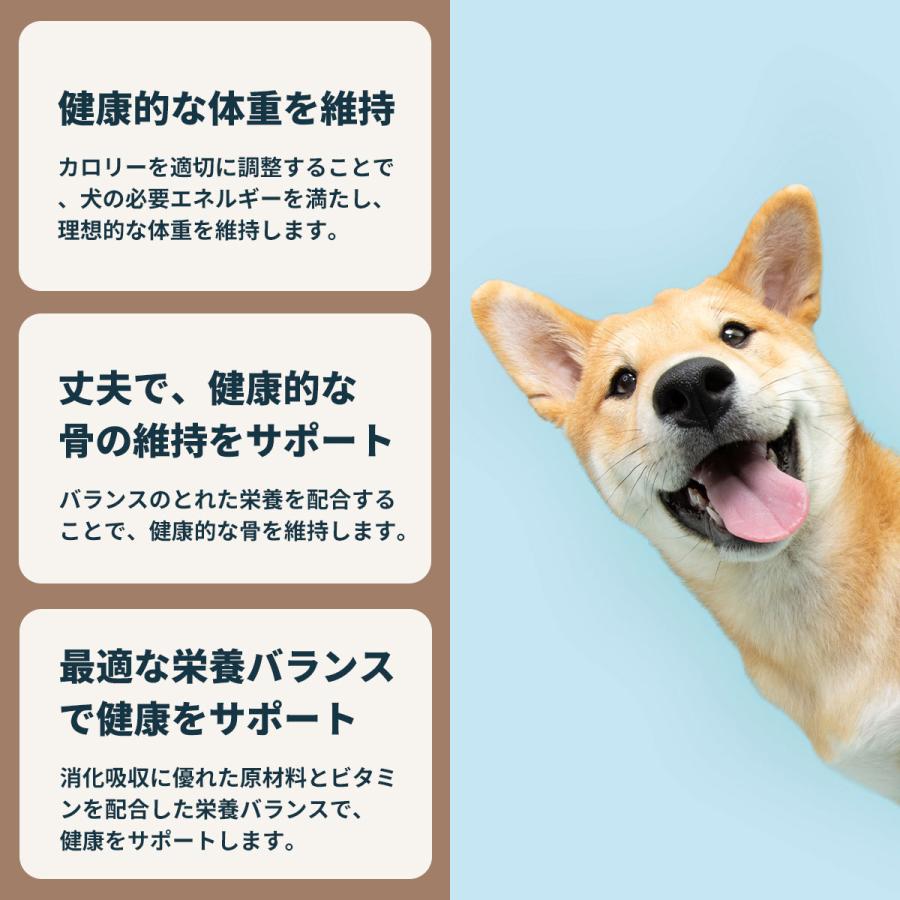 ロイヤルカナン 犬 ドッグフード ミニ アダルト 2kg×6個 小型犬専用フード 成犬用
