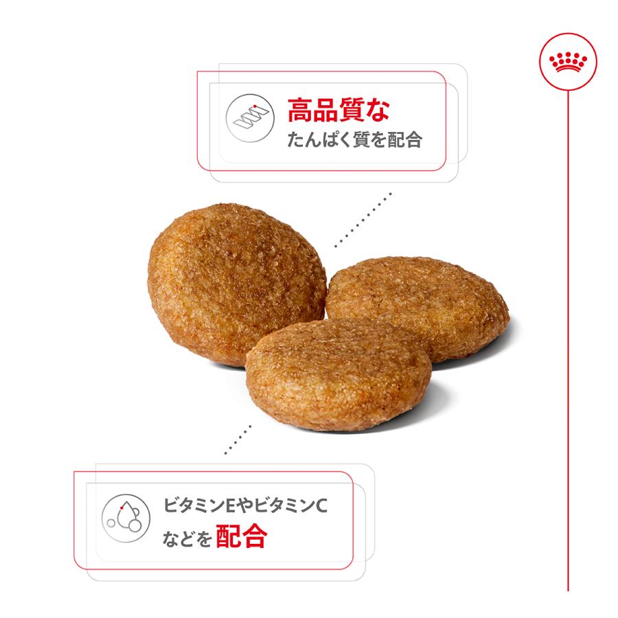 ロイヤルカナン（ROYAL CANIN） 犬 ドッグフード ミディアム アダルト