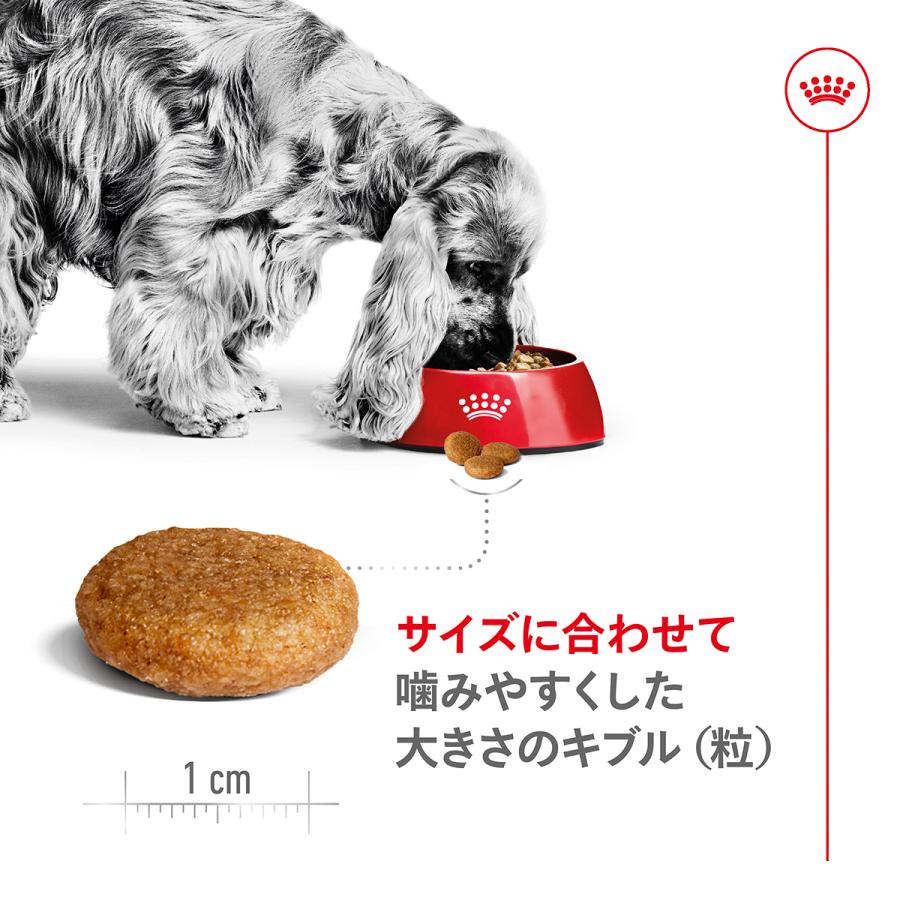 ロイヤルカナン（ROYAL CANIN） 犬 ドッグフード ミディアム アダルト