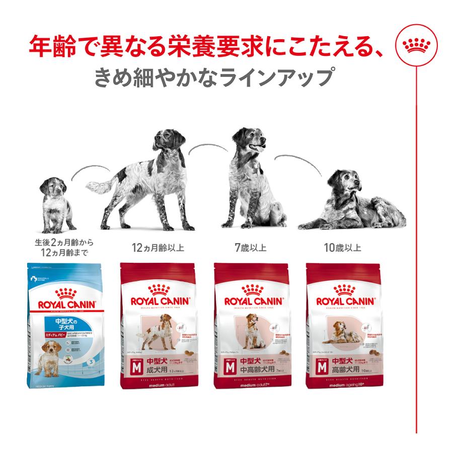 ロイヤルカナン（ROYAL CANIN） 犬 ドッグフード ミディアム アダルト