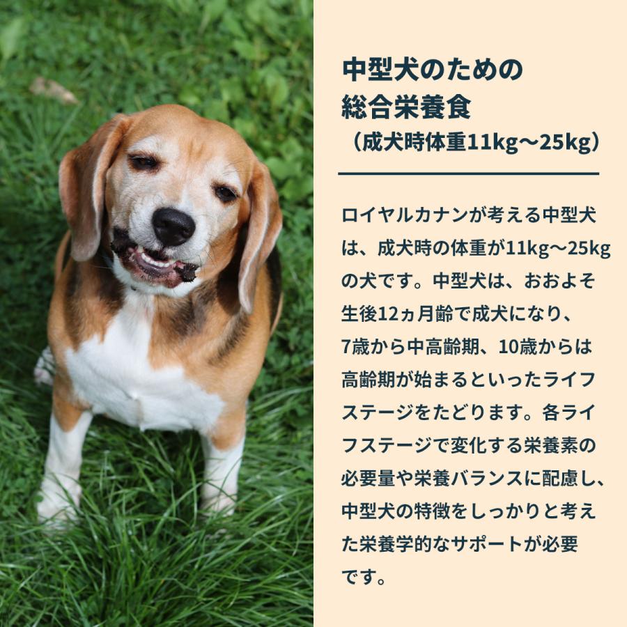 ロイヤルカナン（ROYAL CANIN） 犬 ドッグフード ミディアム アダルト