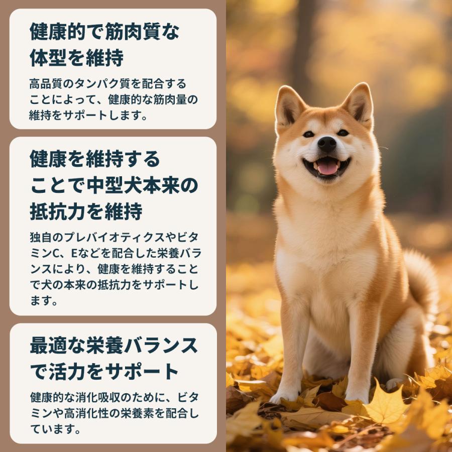 ロイヤルカナン（ROYAL CANIN） 犬 ドッグフード ミディアム アダルト