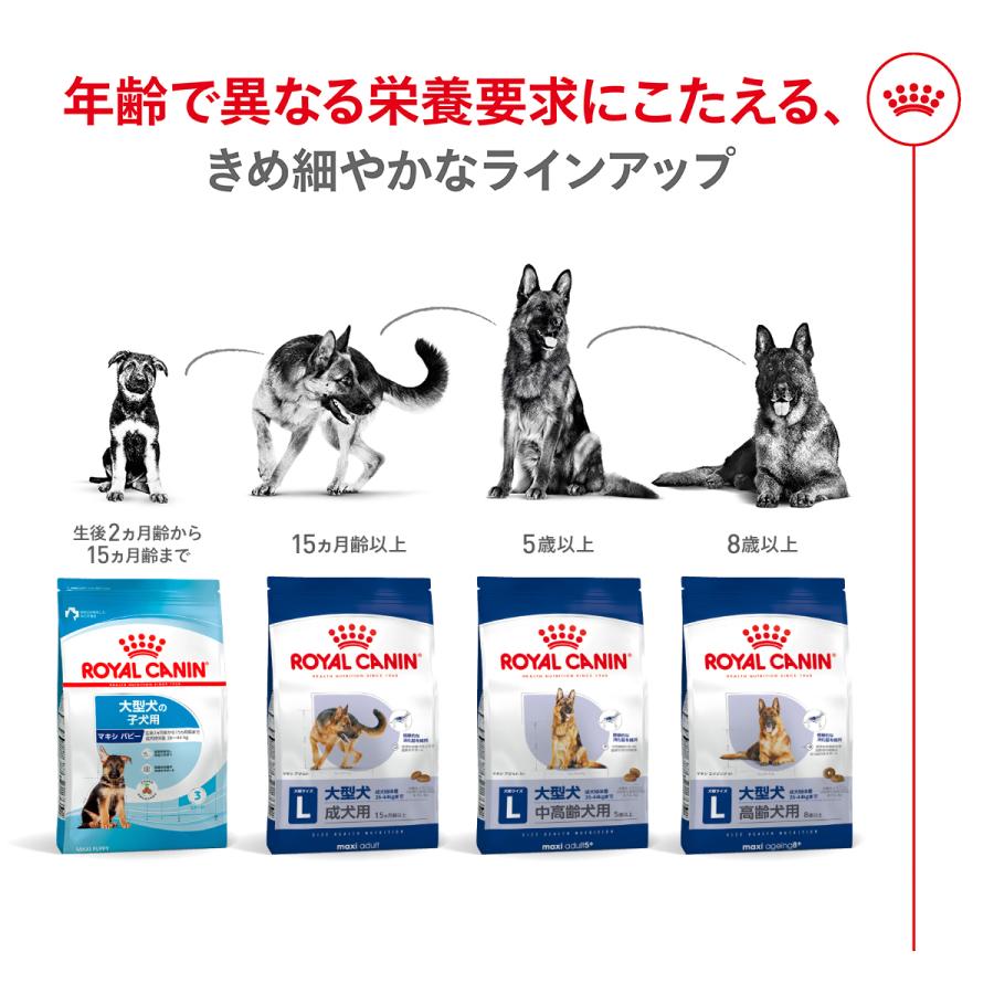ロイヤルカナン（ROYAL CANIN） 犬 ドッグフード マキシ アダルト 4kg