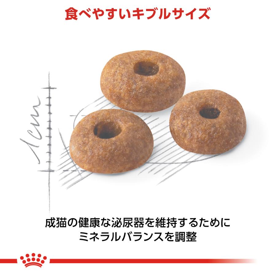 ロイヤルカナン 猫 キャットフード フィット 2kg×6個 適度に運動をする猫専用フード 成猫用_3