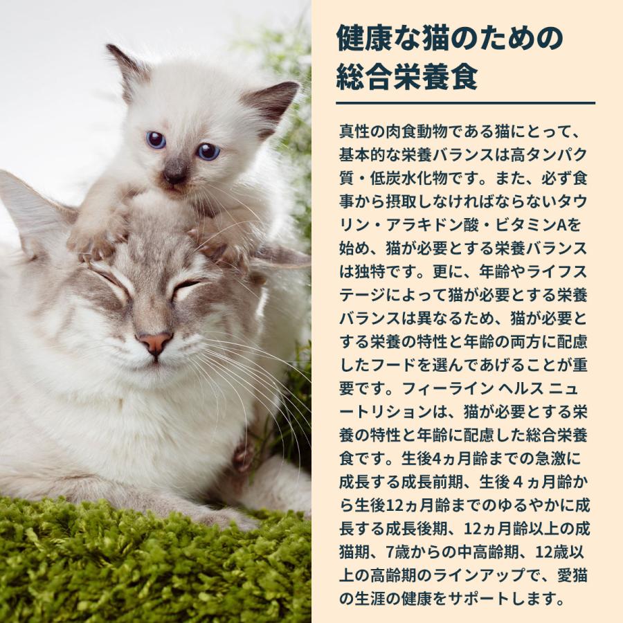 ロイヤルカナン 猫 キャットフード フィット 2kg×6個 適度に運動をする猫専用フード 成猫用_5