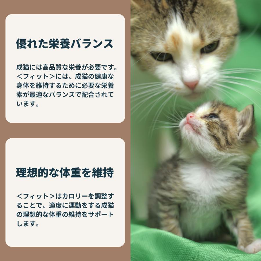 ロイヤルカナン 猫 キャットフード フィット 2kg×6個 適度に運動をする猫専用フード 成猫用_6