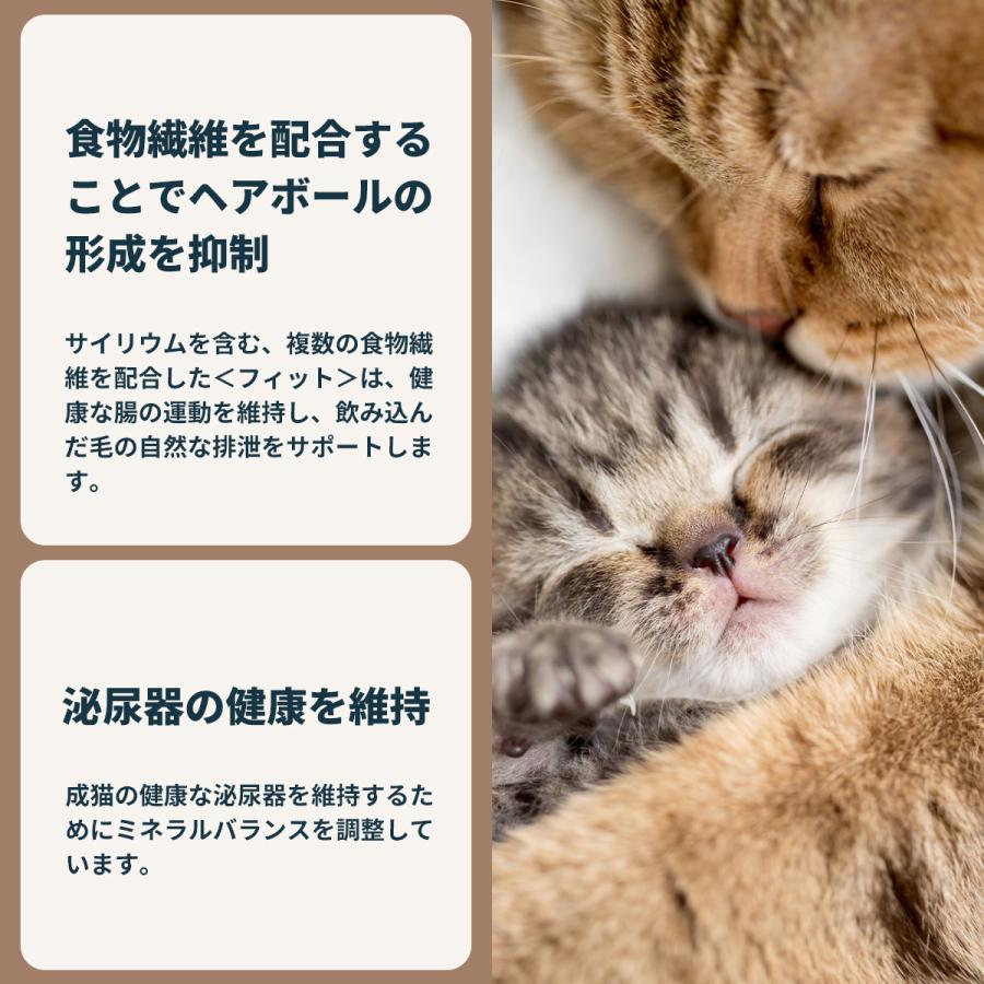 ロイヤルカナン 猫 キャットフード フィット 2kg×6個 適度に運動をする猫専用フード 成猫用_7
