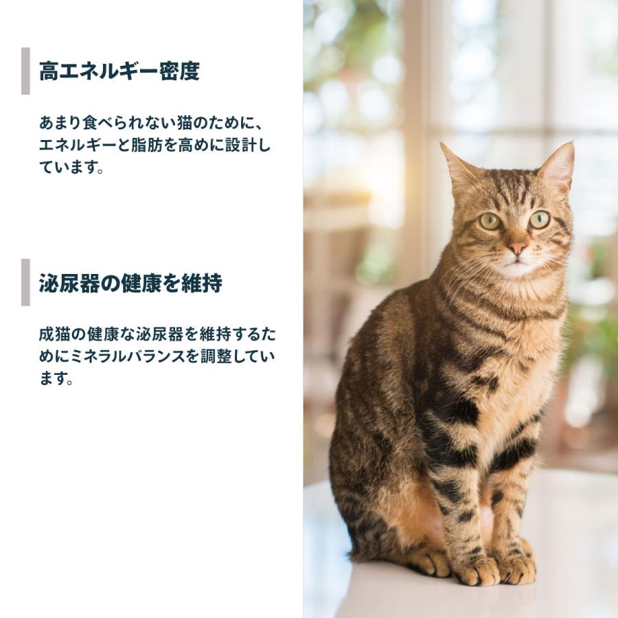 ロイヤルカナン  センシブル Amazon | ロイヤルカナン センシブル 猫用 400g 1個 （ 食が細くやせ