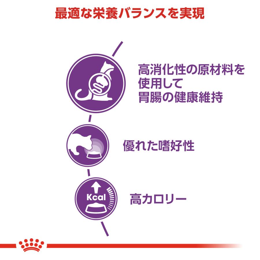 ロイヤルカナン 猫 キャットフード センシブル 2kg×6個 食が細い猫専用フード 成猫用_2