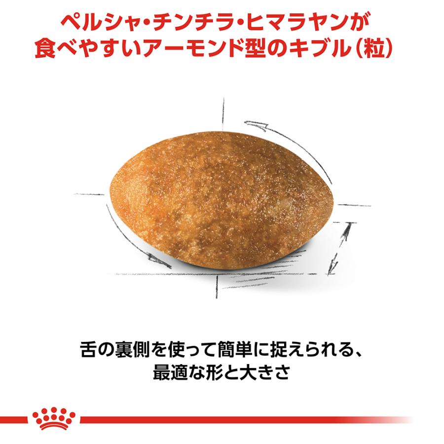 ロイヤルカナン（ROYAL CANIN） 猫 キャットフード ペルシャ チンチラ