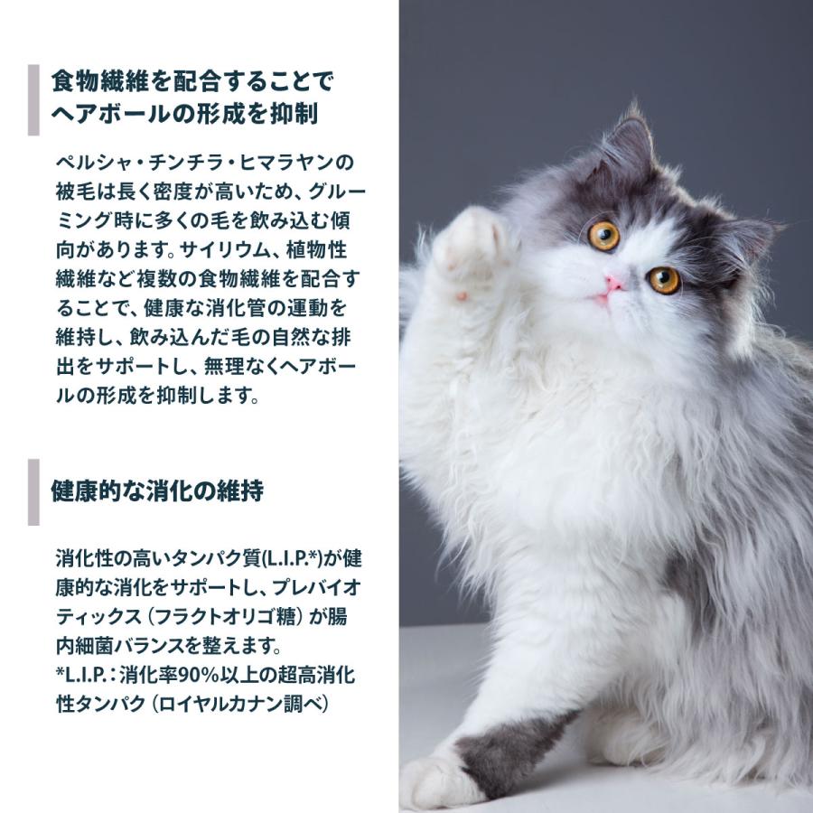 ロイヤルカナン（ROYAL CANIN） 猫 キャットフード ペルシャ チンチラ