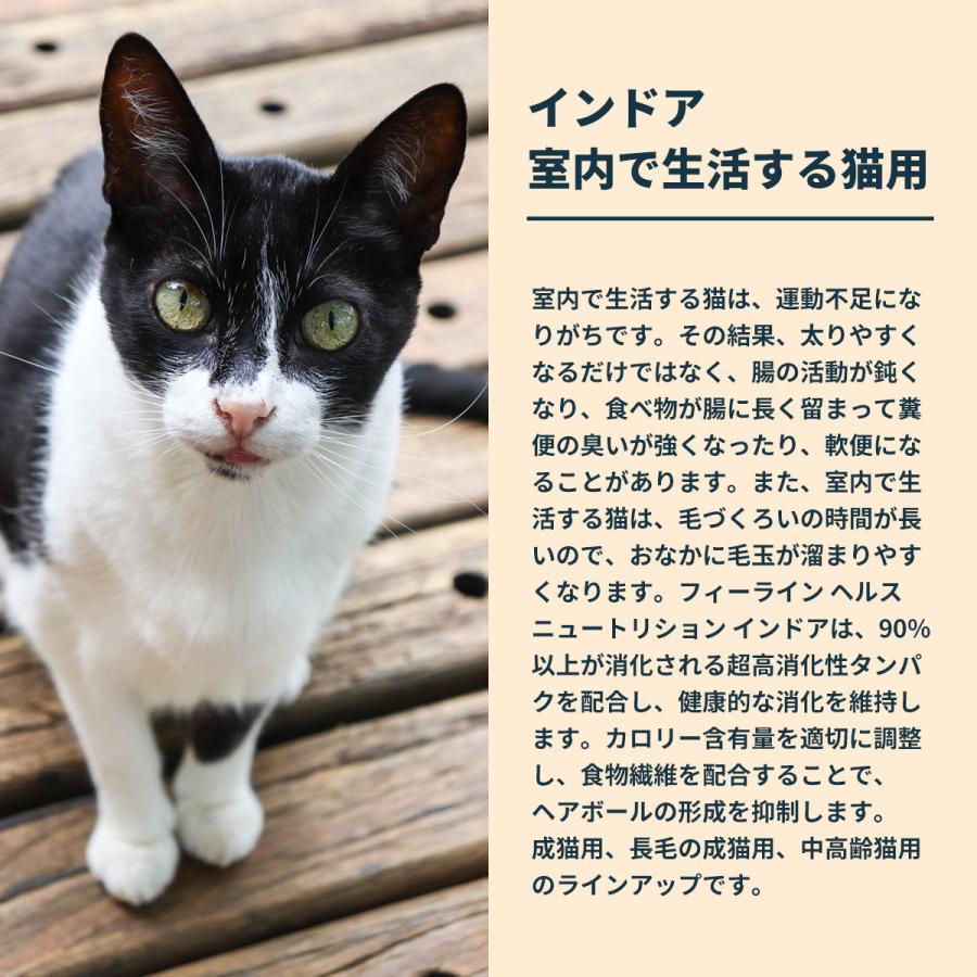 ロイヤルカナン（ROYAL CANIN） 猫 キャットフード インドア 400g 室内