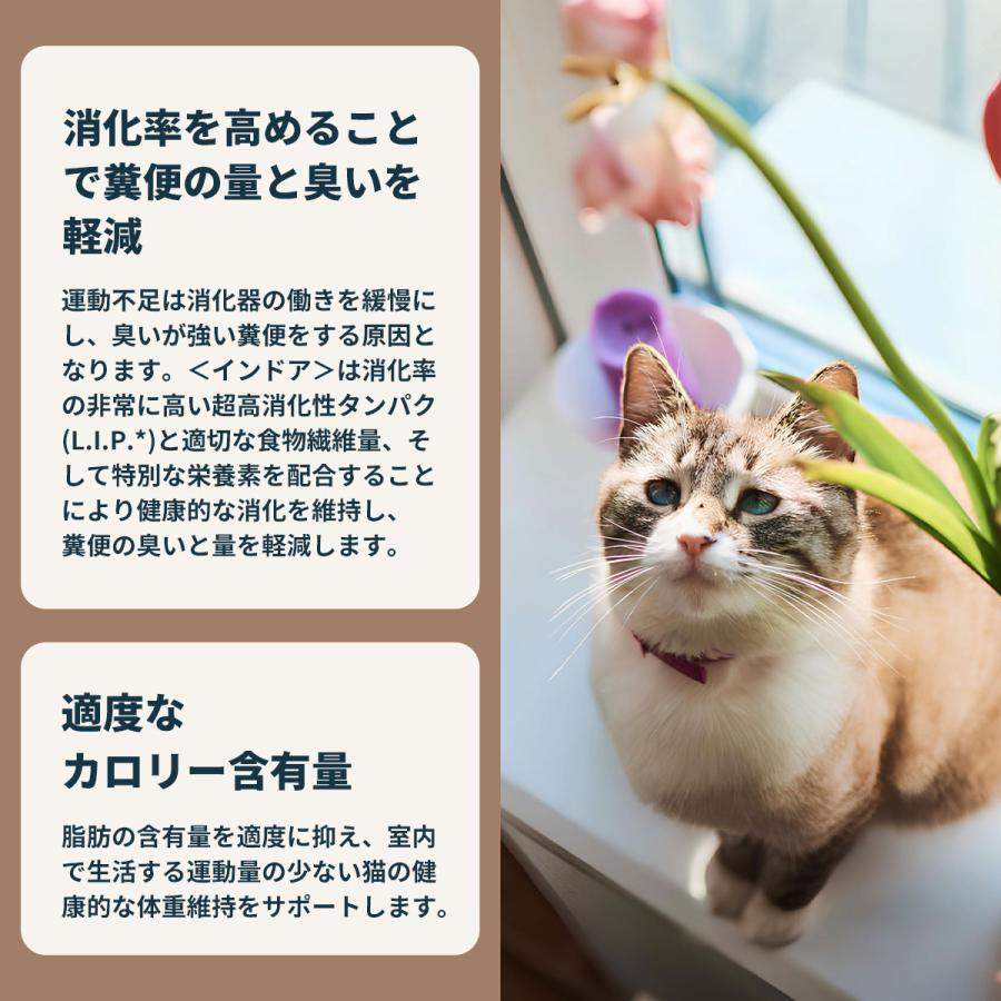 ロイヤルカナン（ROYAL CANIN） 猫 キャットフード インドア 2kg 室内