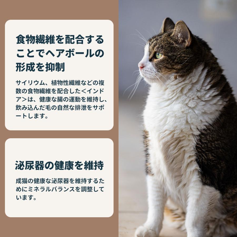 ロイヤルカナン　室内で生活する長毛の成猫用　２kg✕２袋　賞味期限'26.8.3 ロイヤルカナン（ROYAL CANIN） 猫 室内で生活する長毛の成猫用セット