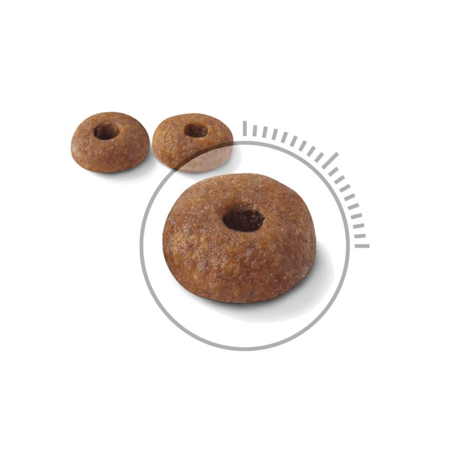 【8ｋｇ】ロイヤルカナン　ライトウェイトケア　減量したい成猫用　キャットフード 楽天市場】ロイヤルカナン ライト ウェイト ケア 減量したい 成