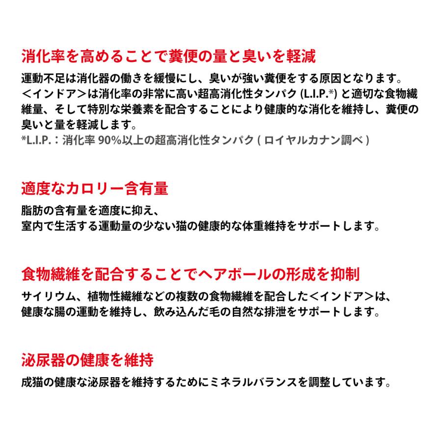 エントリーで+4倍！5月15日！ロイヤルカナン 猫 キャットフード インドア 10kg｜koji｜02