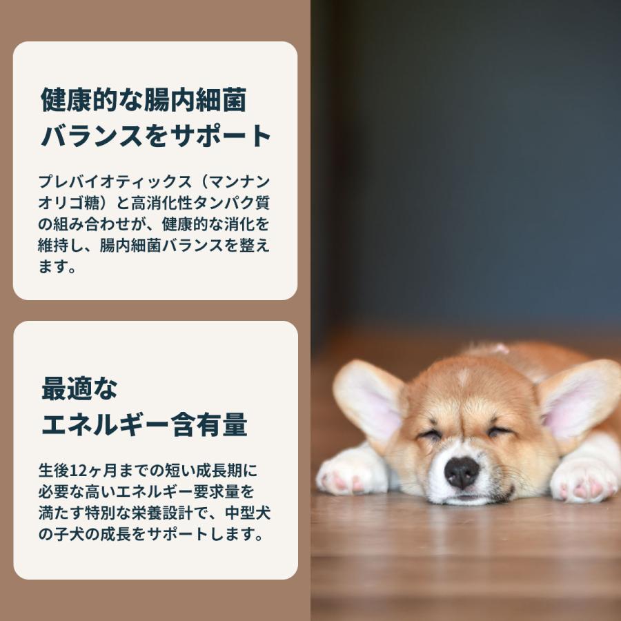 ロイヤルカナン（ROYAL CANIN） 犬 ドッグフード ミディアム パピー