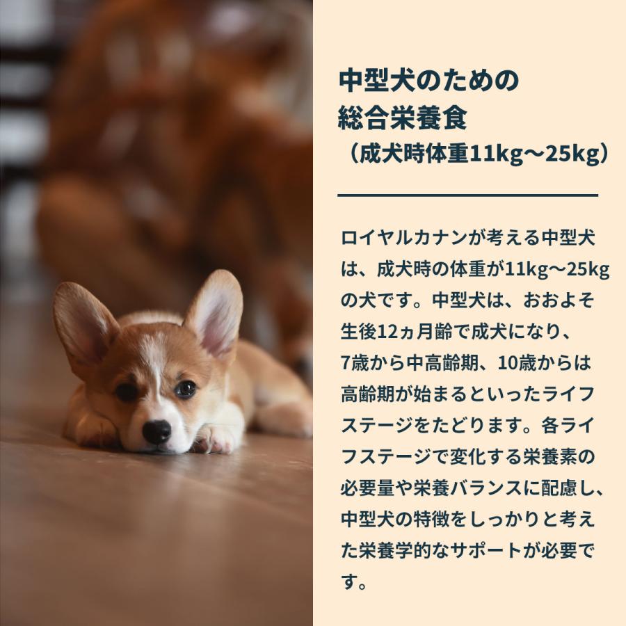 ロイヤルカナン（ROYAL CANIN） 犬 ドッグフード ミディアム パピー