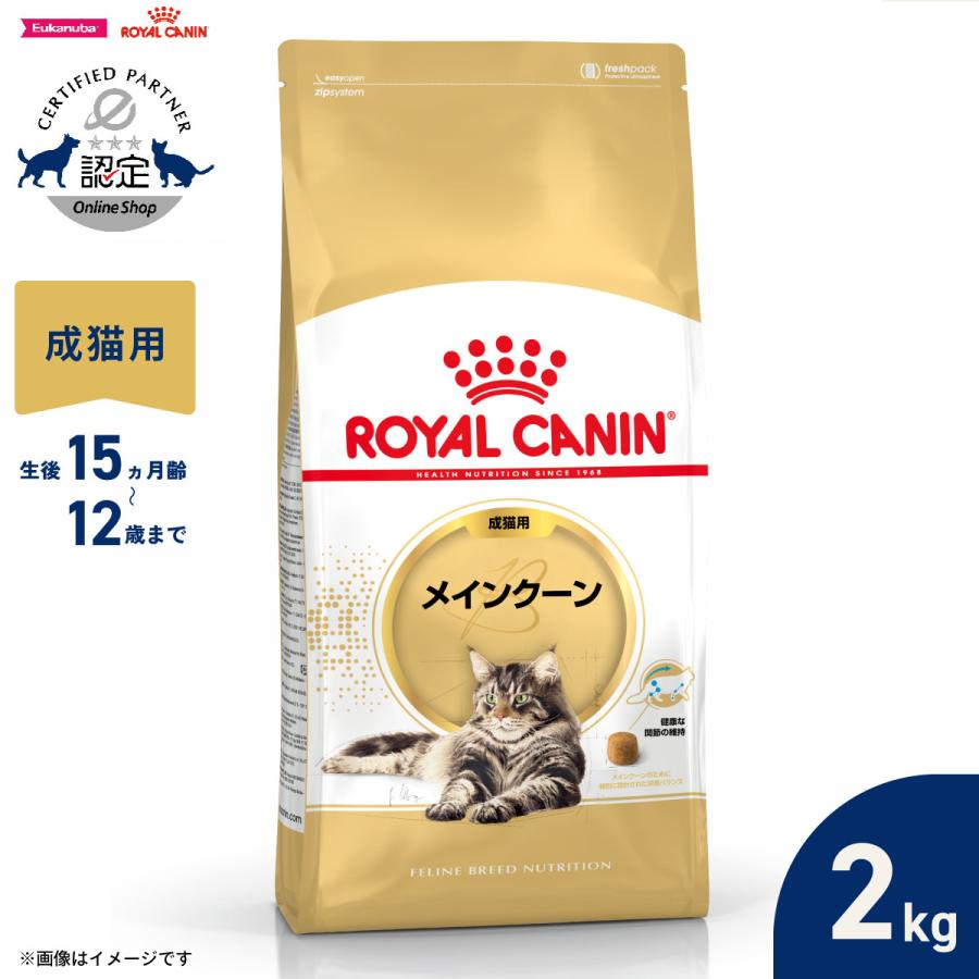  CANIN メインクーン 成猫用 2kg 3袋セット ロイヤルカナン（ROYAL CANIN） 猫 キャットフード メインクーン専用