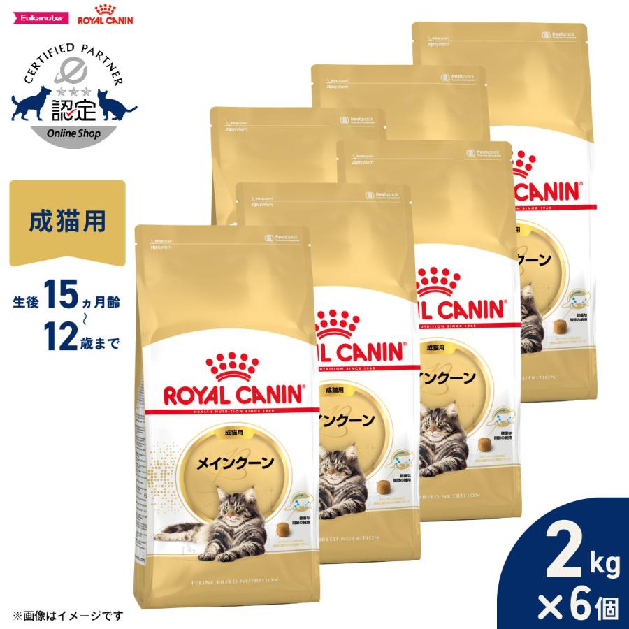 ロイヤルカナン 猫 キャットフード メインクーン専用フード 成猫用 2kg×6個（Yahoo!・コジコジ）