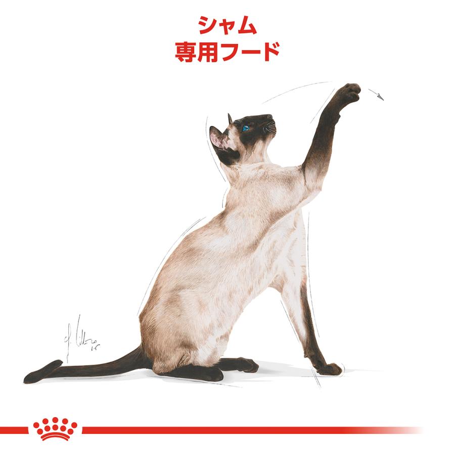 ロイヤルカナン（ROYAL CANIN） 猫 キャットフード シャム専用フード