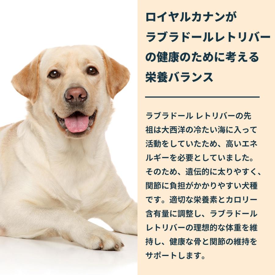 ロイヤルカナン（ROYAL CANIN） 犬 ドッグフード ラブラドール