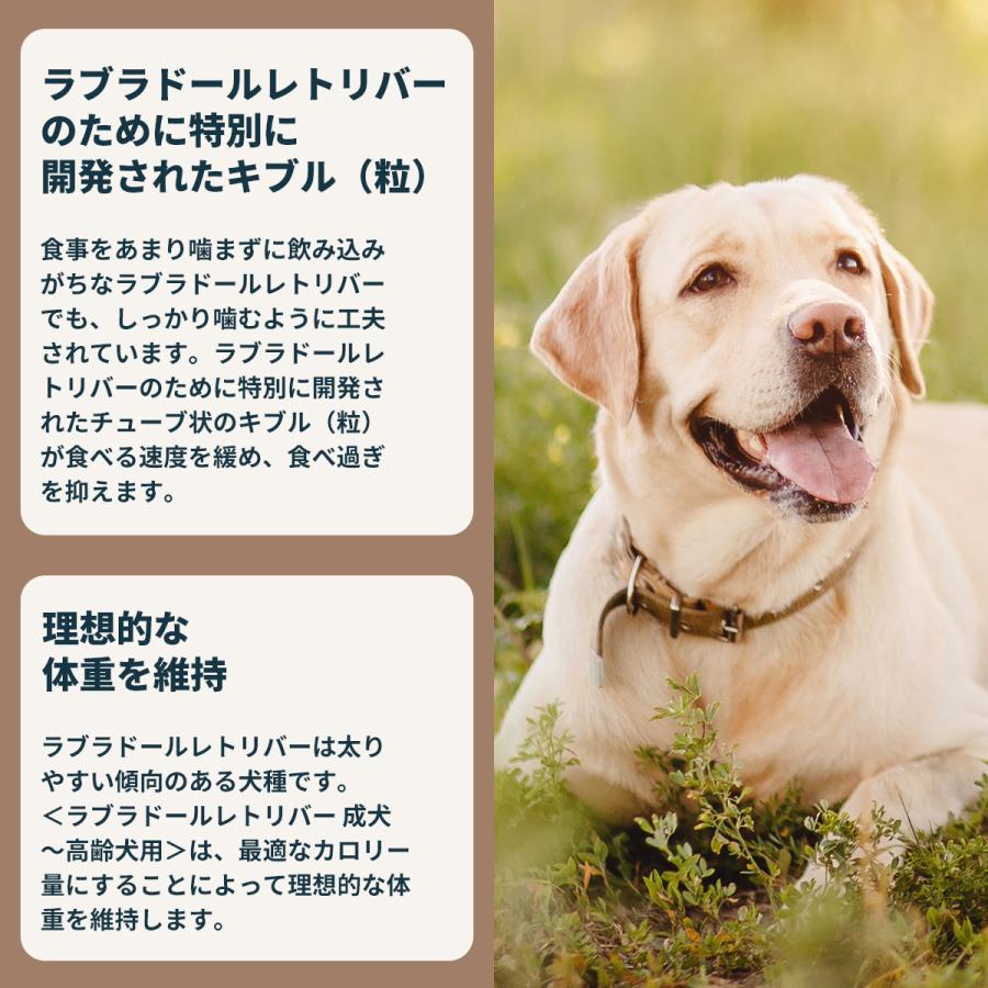ロイヤルカナン（ROYAL CANIN） 犬 ドッグフード ラブラドール