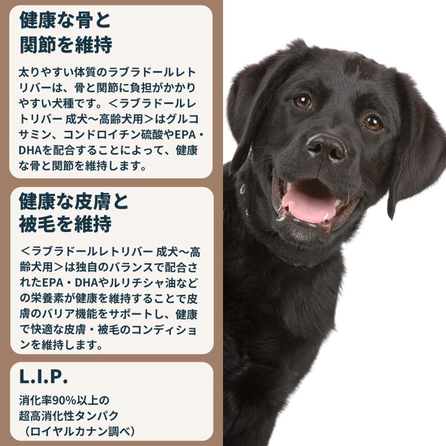 ロイヤルカナン ラブラドールレトリバー子犬用　１６キロ ロイヤルカナン（ROYAL CANIN） ラブラドールレトリバー 成犬〜高齢犬
