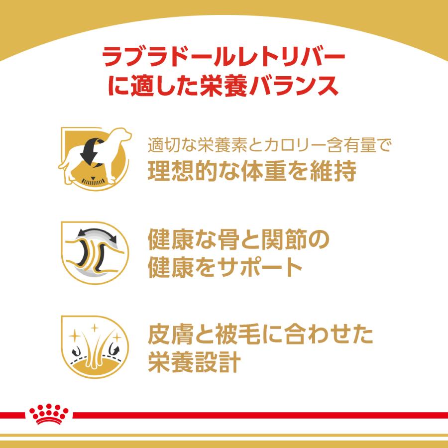 ロイヤルカナン 犬 ドッグフード ラブラドールレトリバー専用フード 成犬〜高齢犬用 12kgの画像