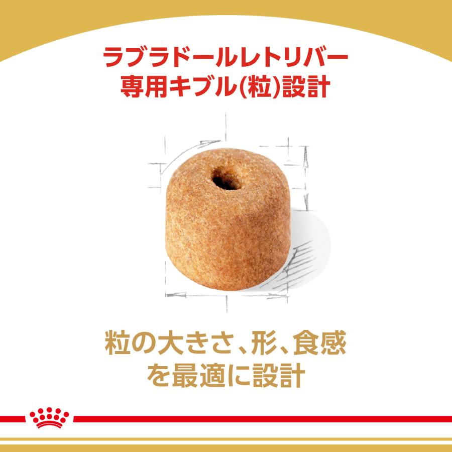 ロイヤルカナン 犬 ドッグフード ラブラドールレトリバー専用フード 成犬〜高齢犬用 12kgの画像