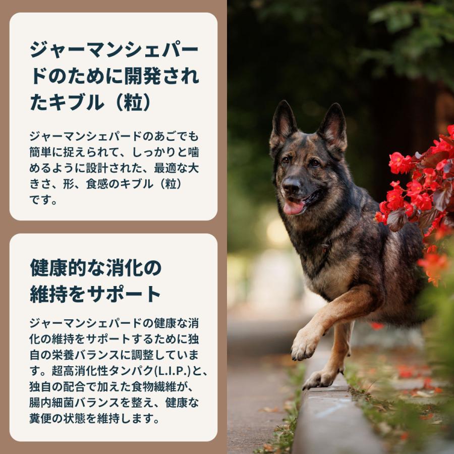ロイヤルカナン（ROYAL CANIN） 犬 ドッグフード ジャーマンシェパード