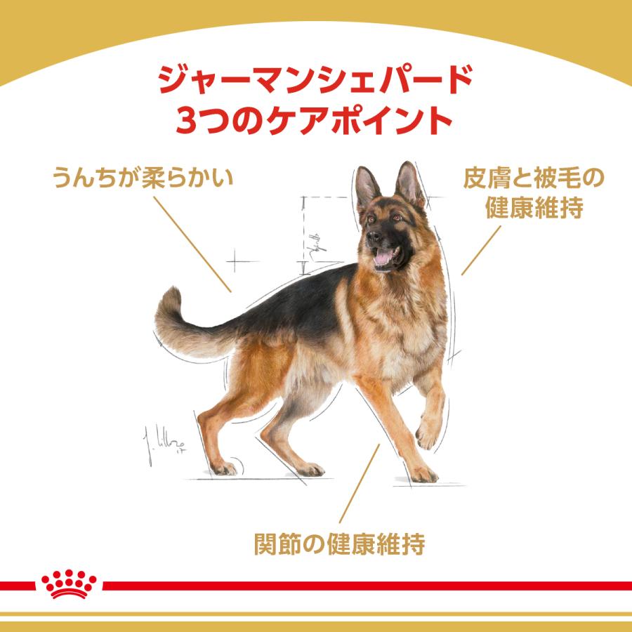 ロイヤルカナン（ROYAL CANIN） 犬 ドッグフード ジャーマンシェパード