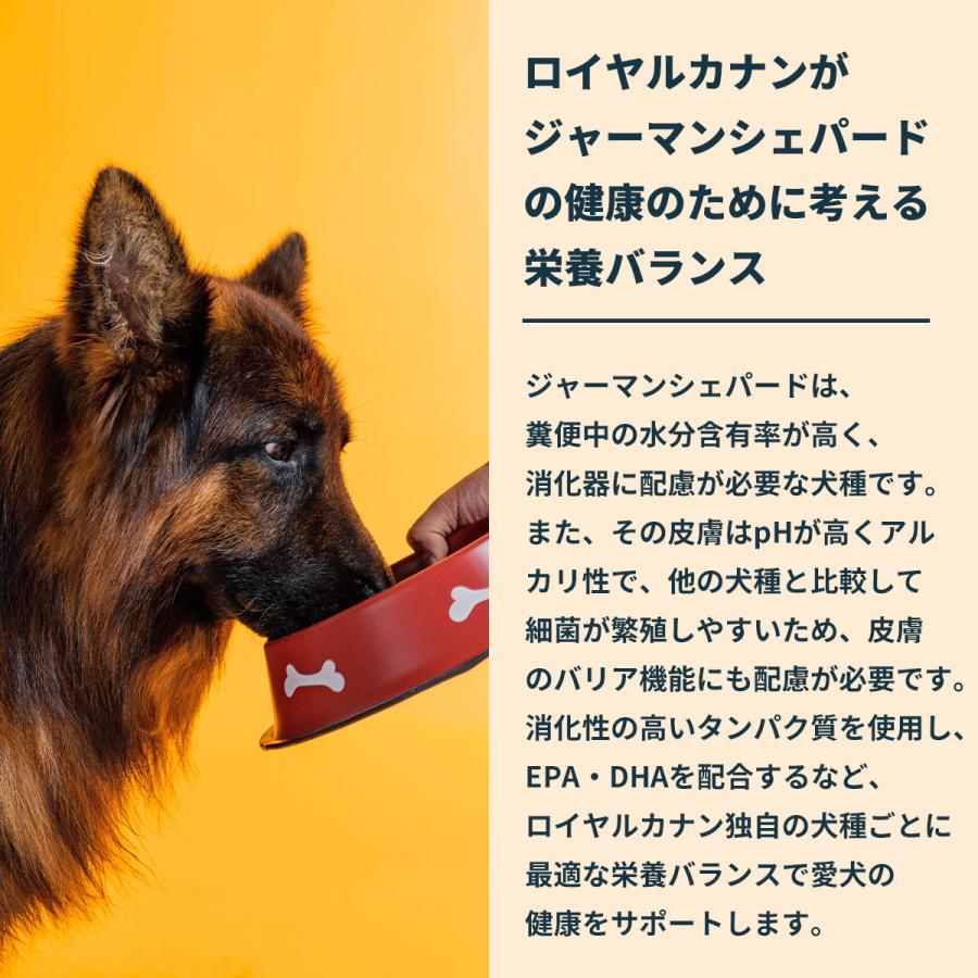 ロイヤルカナン（ROYAL CANIN） 犬 ドッグフード ジャーマンシェパード