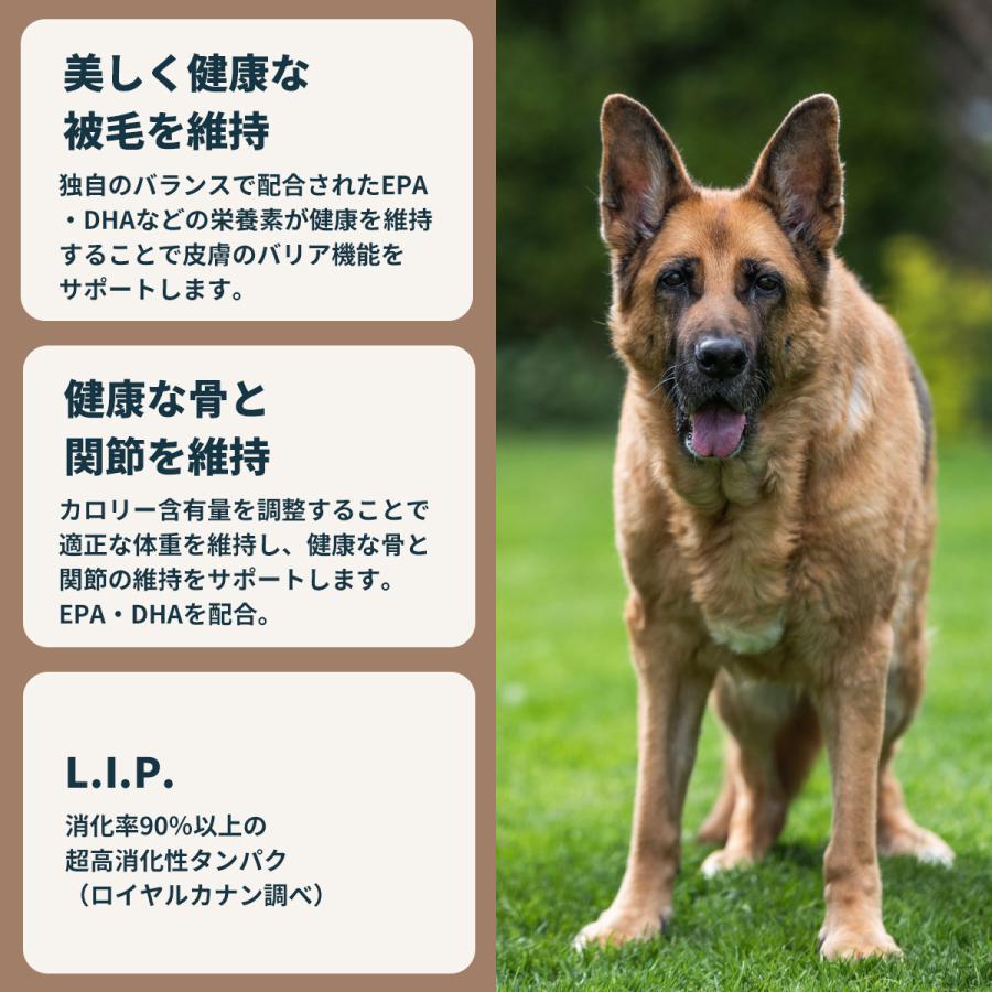 ロイヤルカナン（ROYAL CANIN） 犬 ドッグフード ジャーマンシェパード
