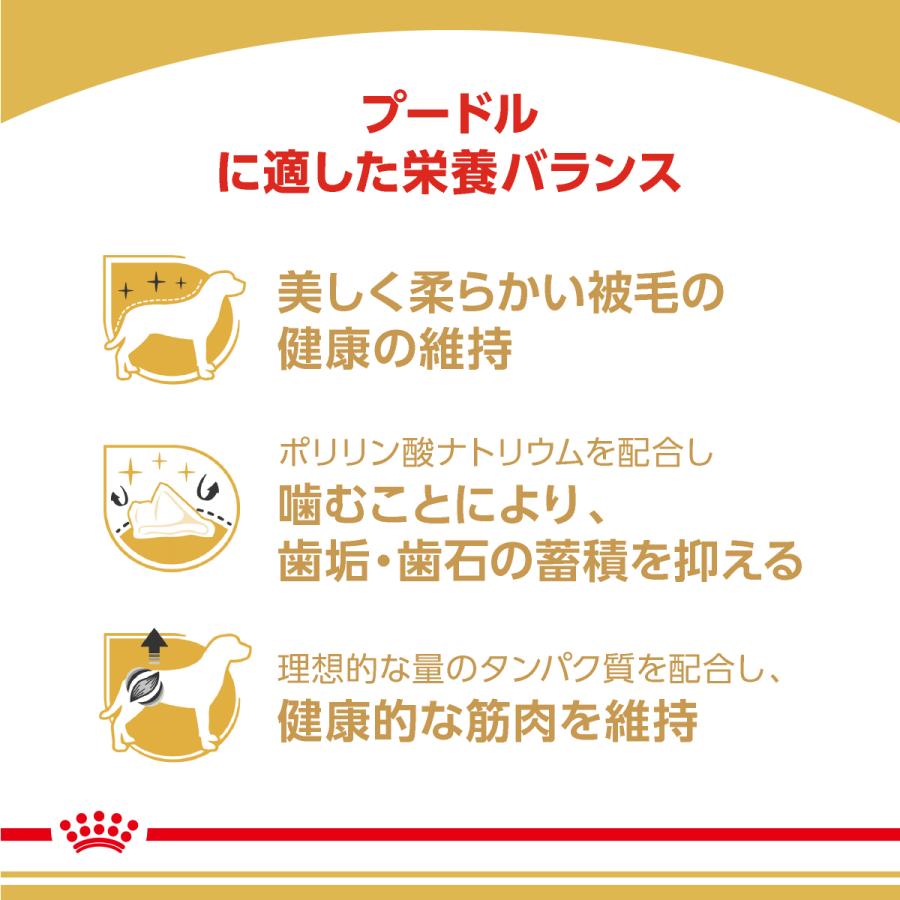 ロイヤルカナン 犬 ドッグフード プードル専用フード 成犬用 800g×10個_2