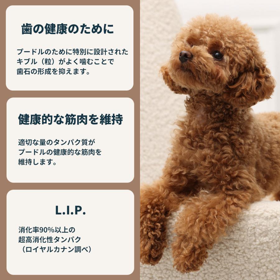 ロイヤルカナン 犬 ドッグフード プードル専用フード 成犬用 800g×10個_6
