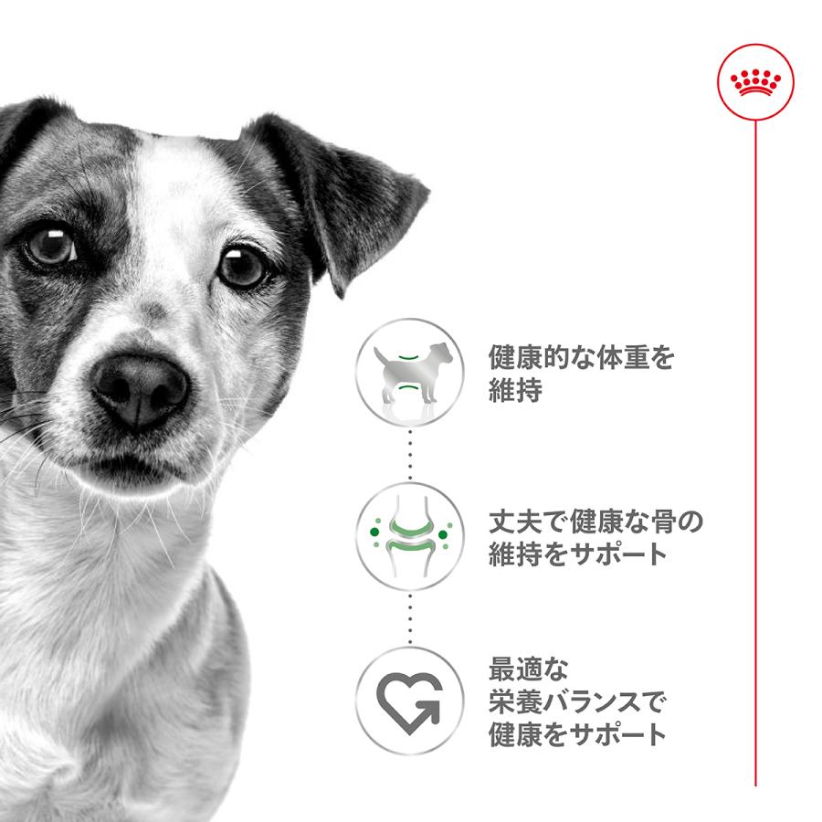 ロイヤルカナン 犬 ドッグフード ミニ アダルト 8kg 小型犬専用フード 成犬用_1