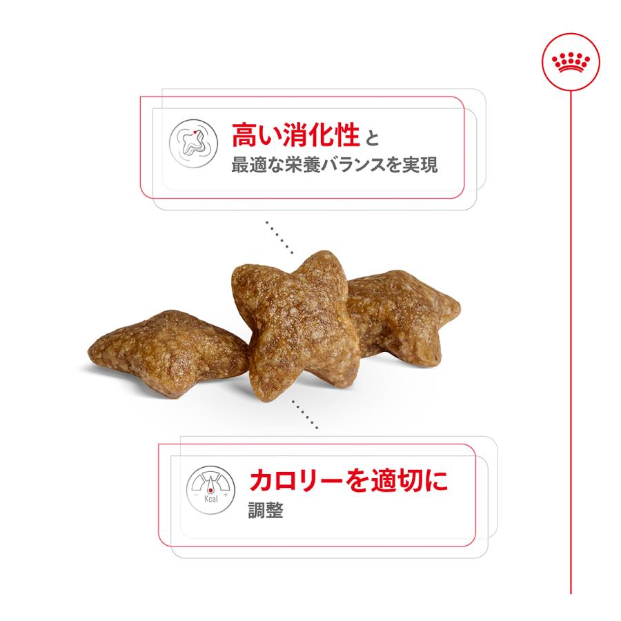 ロイヤルカナン（ROYAL CANIN） 犬 ドッグフード ミニ アダルト 8kg