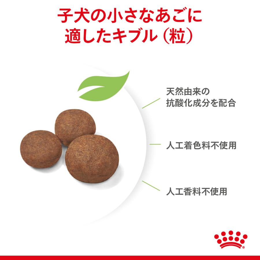 ロイヤルカナン（ROYAL CANIN） 犬 ドッグフード ミディアム パピー