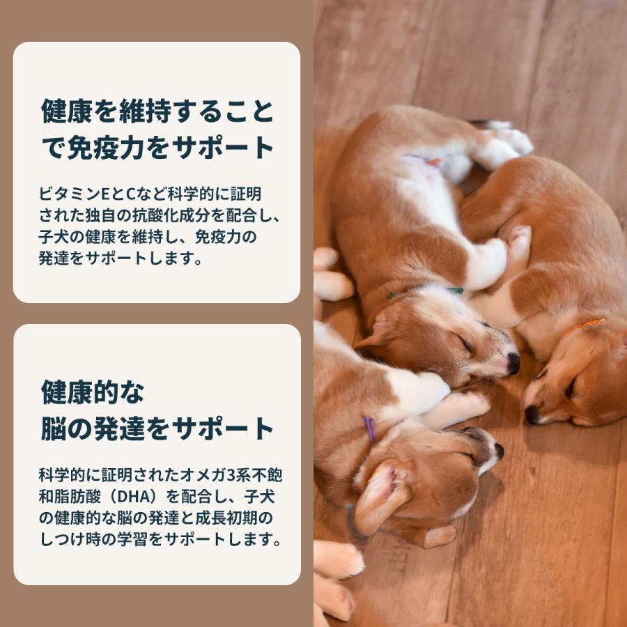 ロイヤルカナン 犬 ドッグフード ミディアム パピー 10kg [RC-PP] 中型犬専用フード 子犬用