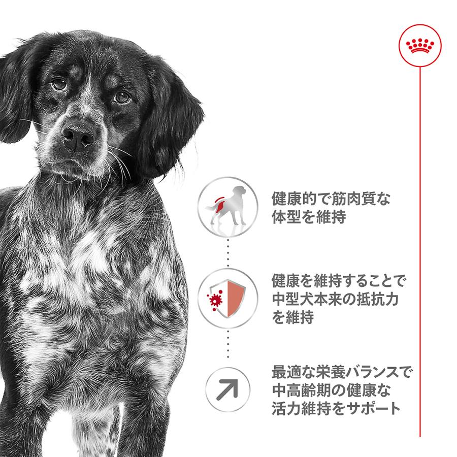 ロイヤルカナン（ROYAL CANIN） 犬 ドッグフード ミディアム アダルト 