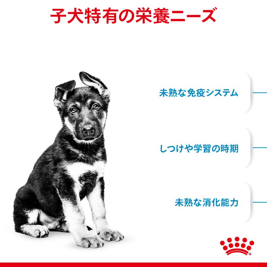 ロイヤルカナン（ROYAL CANIN） 犬 ドッグフード マキシ パピー 10kg