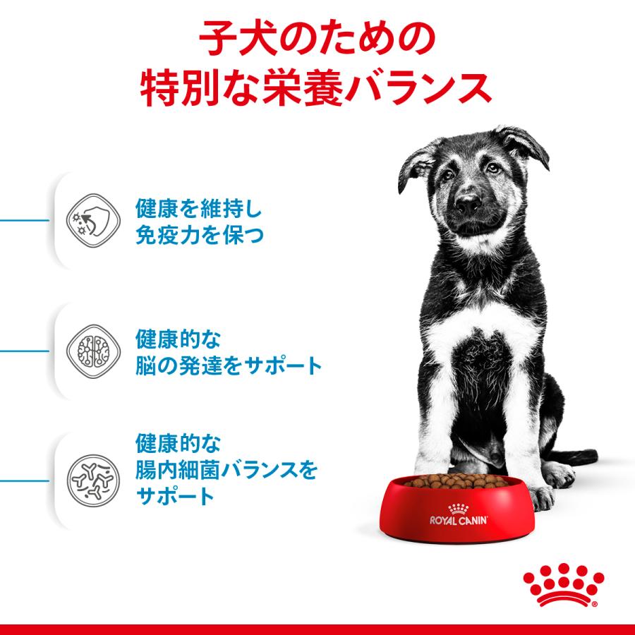 ロイヤルカナン（ROYAL CANIN） 犬 ドッグフード マキシ パピー 10kg
