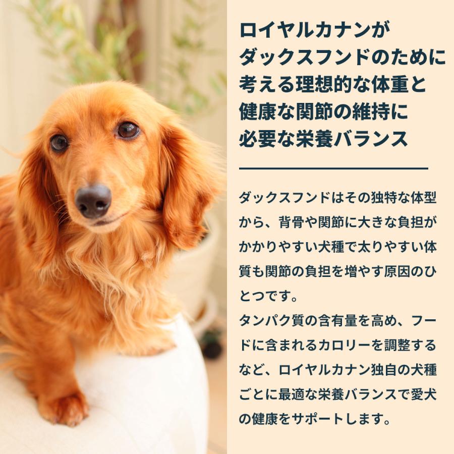 ロイヤルカナン（ROYAL CANIN） 犬 ドッグフード ダックスフンド専用