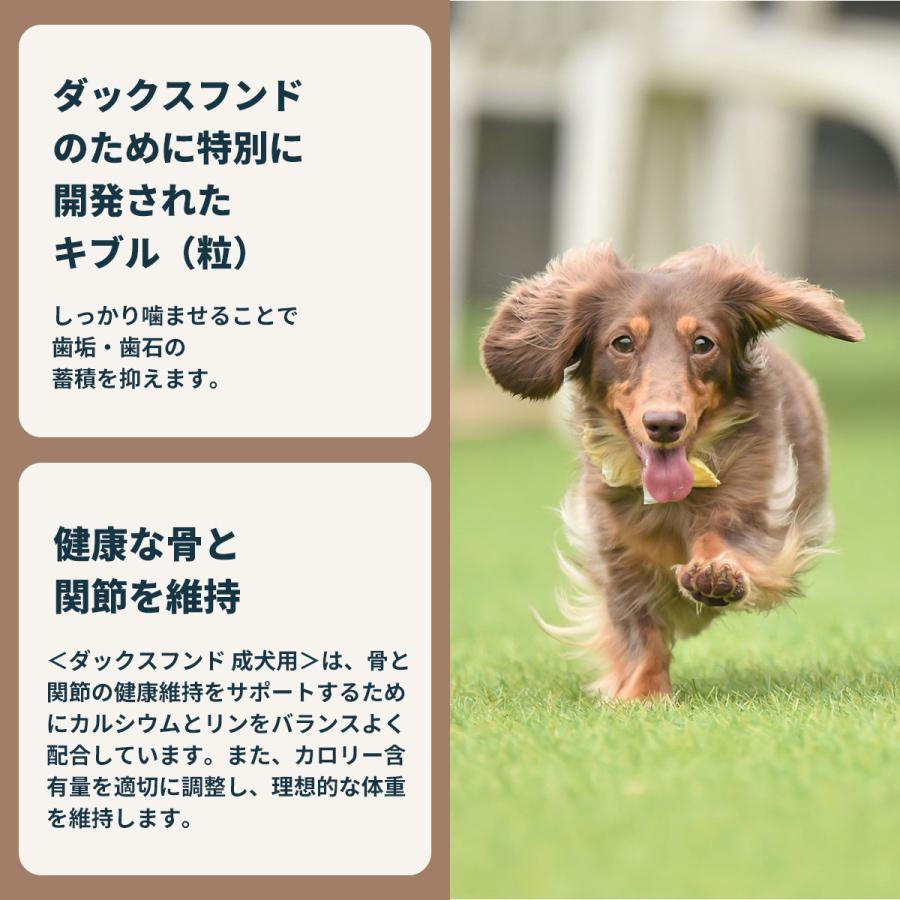 ロイヤルカナン（ROYAL CANIN） 犬 ドッグフード ダックスフンド専用