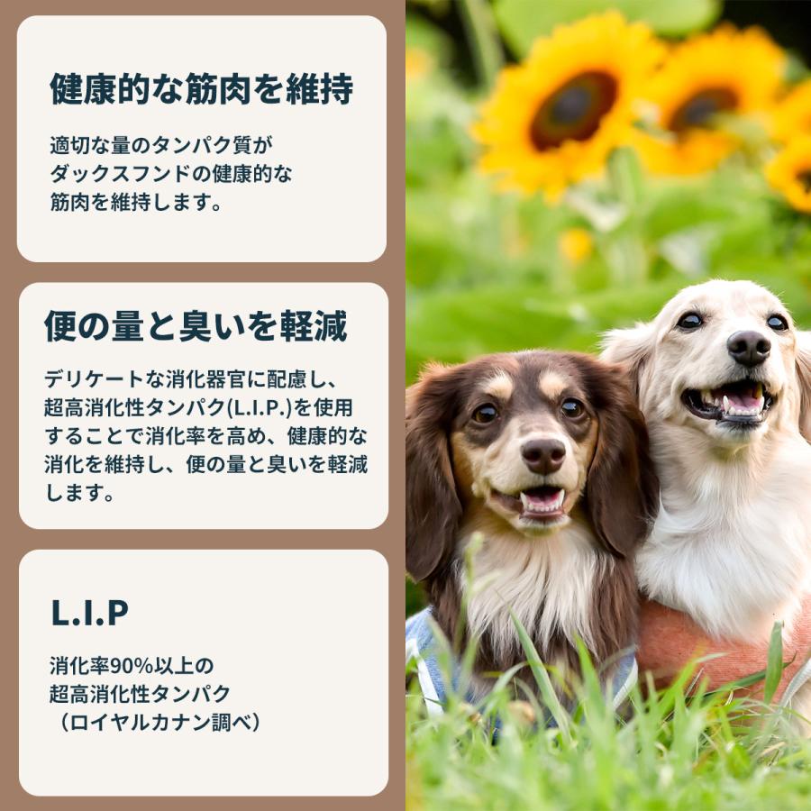 ロイヤルカナン（ROYAL CANIN） 犬 ドッグフード ダックスフンド専用